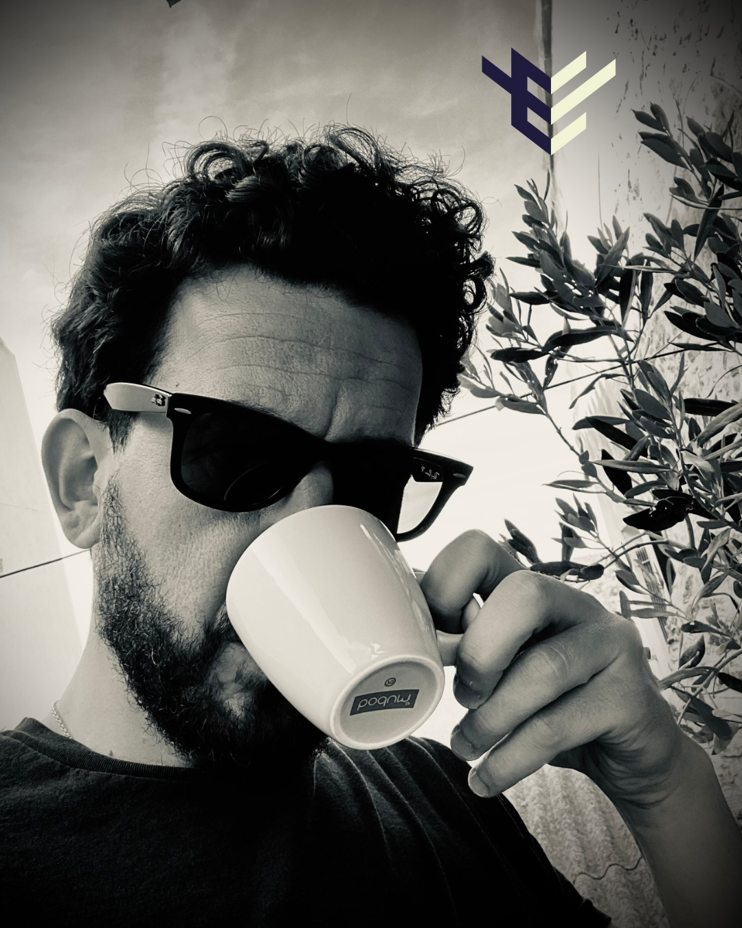 Imatge del programa viatge-electronic