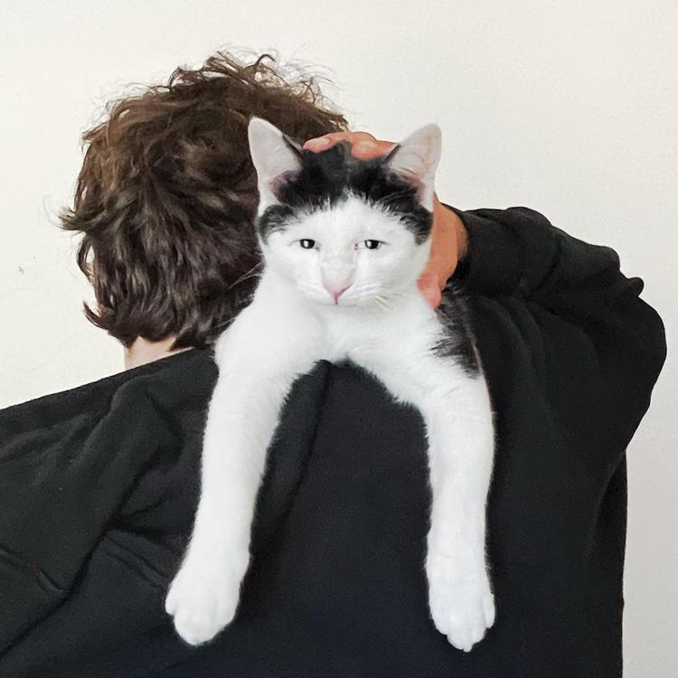 Imatge del programa pacman oolong