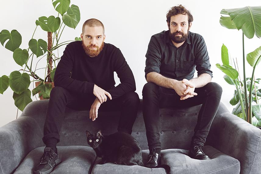 Imatge del programa hedonic-reversal